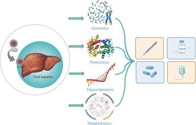 Advances in multi-omics research on viral hepatitis